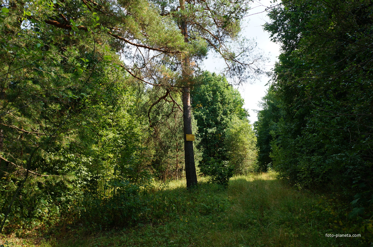 Территория бывших воинских частей