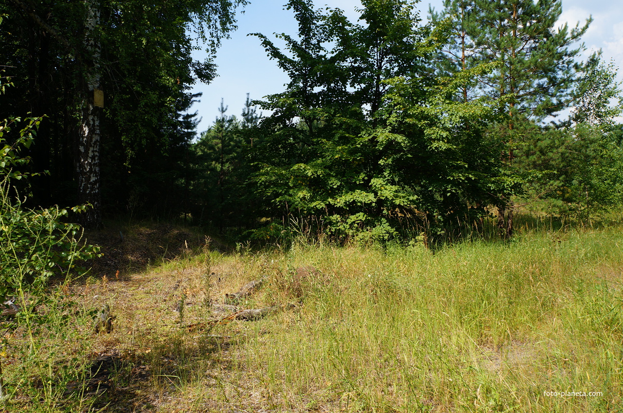 Территория бывших воинских частей