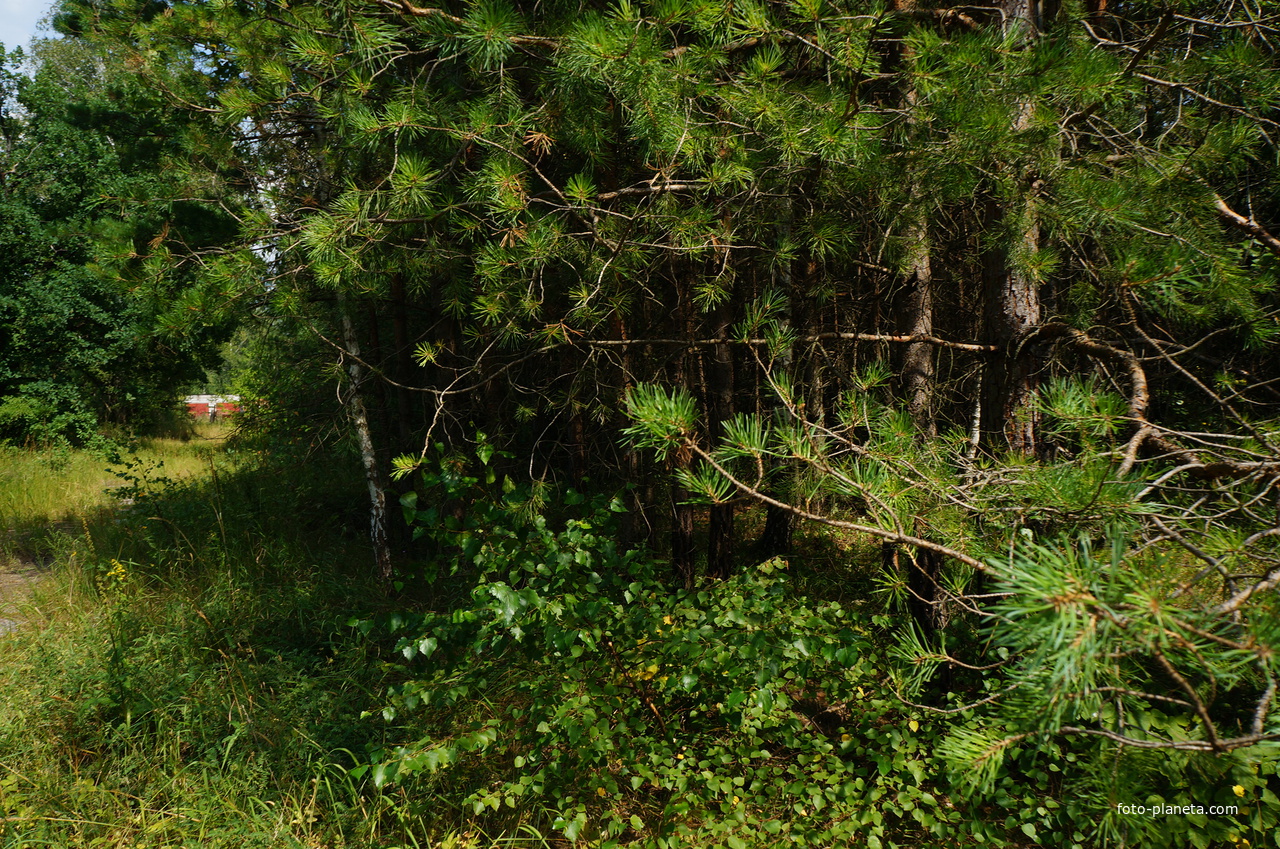 Территория бывших воинских частей