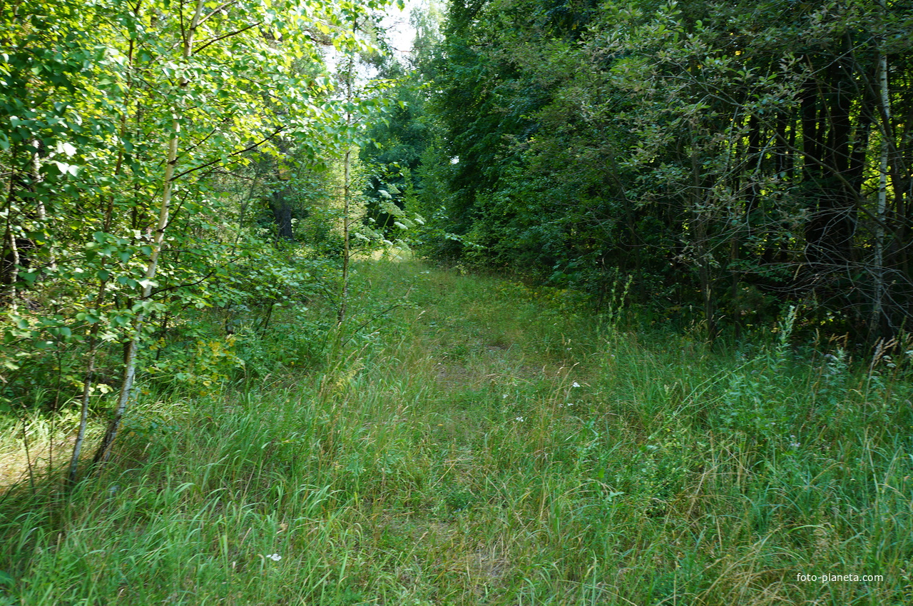 Территория бывших воинских частей