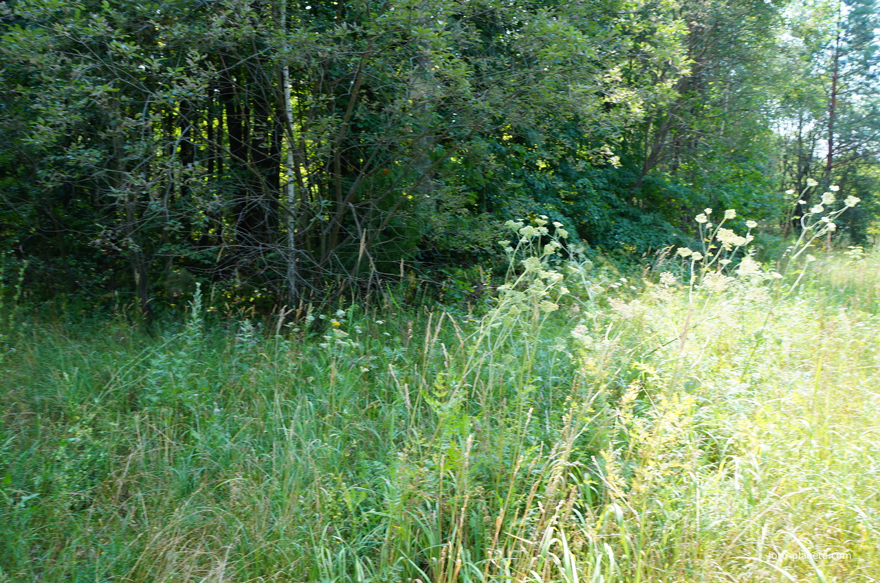 Территория бывших воинских частей