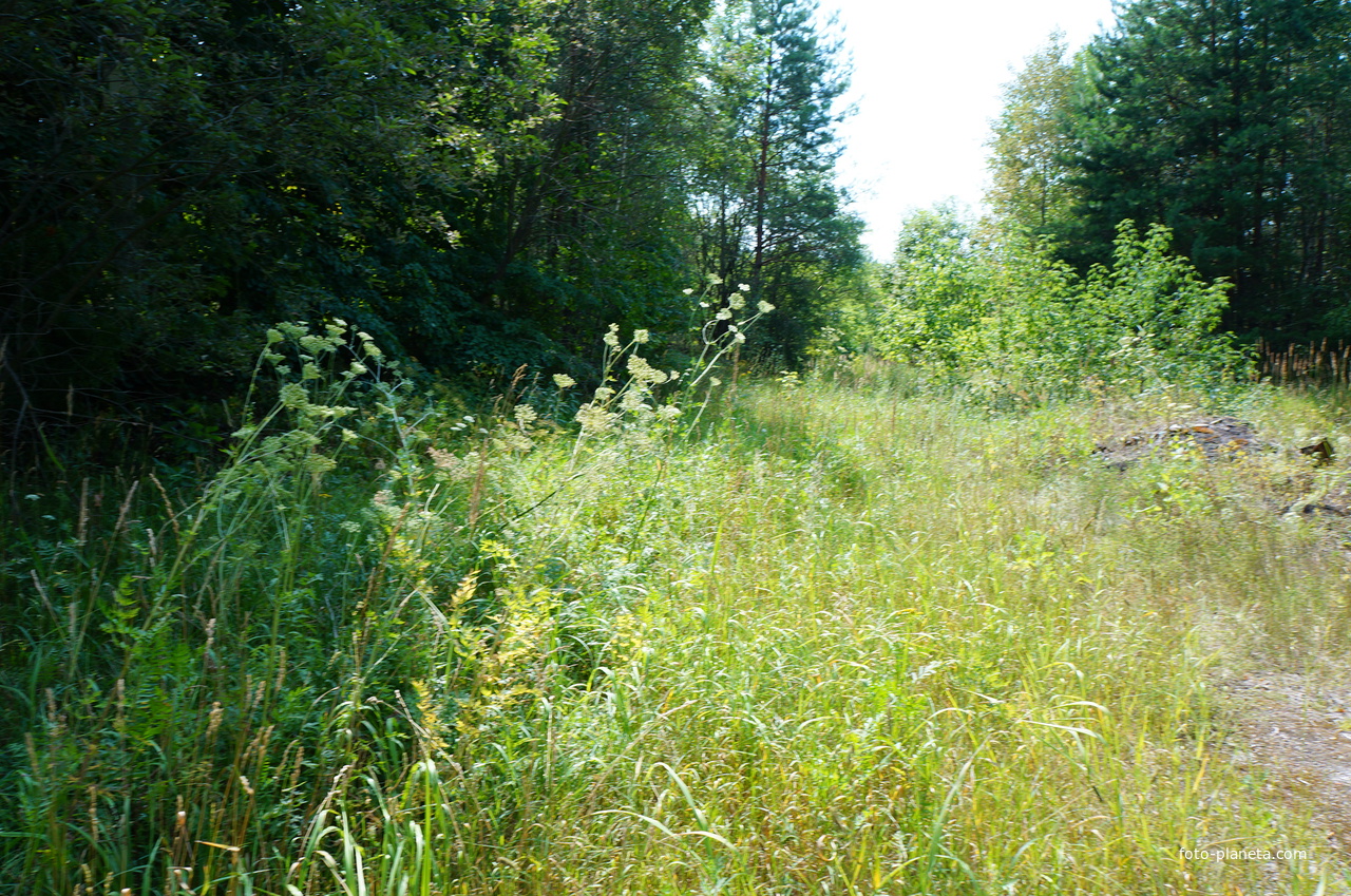 Территория бывших воинских частей
