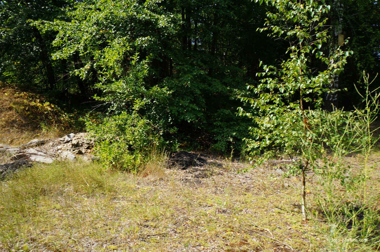 Территория бывших воинских частей