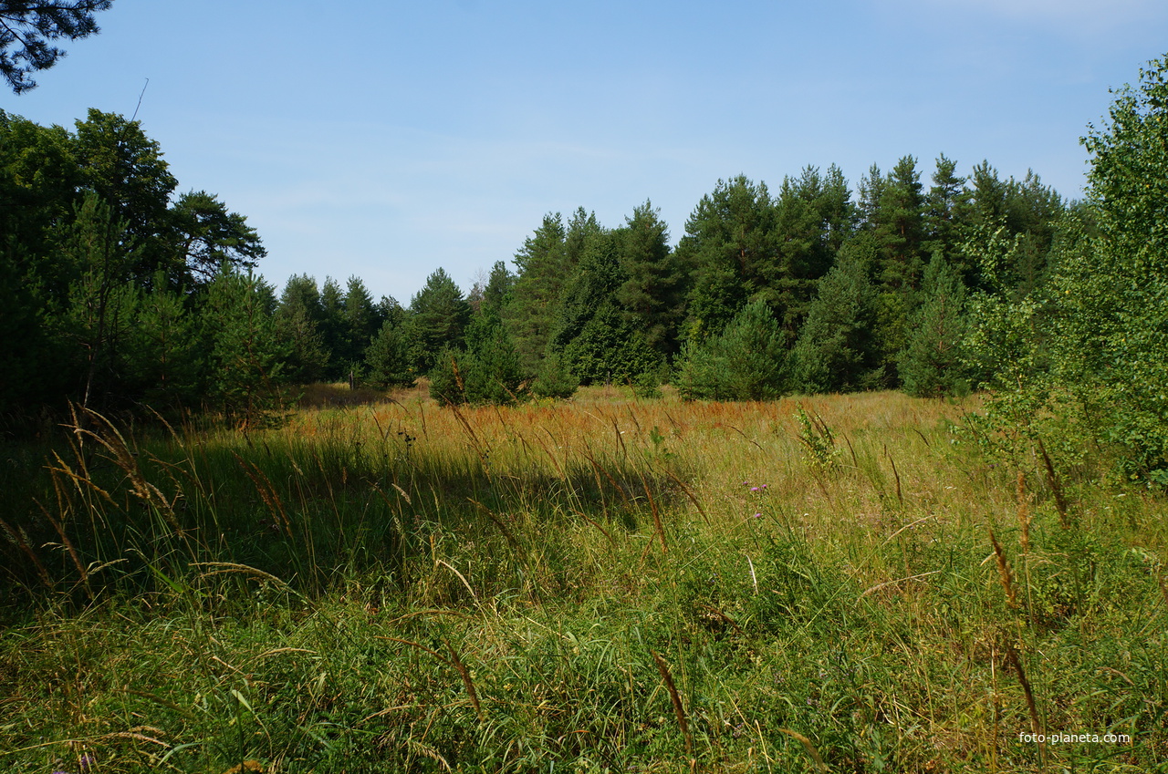 Территория бывших воинских частей