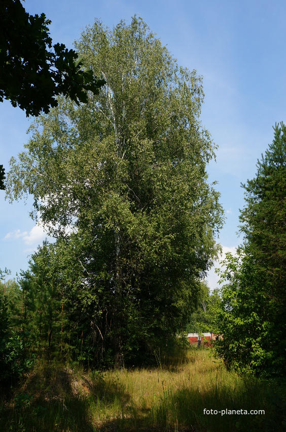 Территория бывших воинских частей