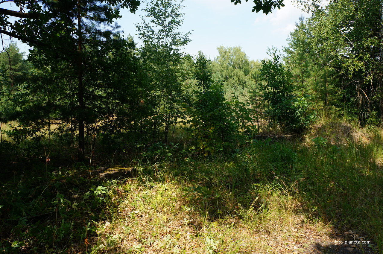 Территория бывших воинских частей