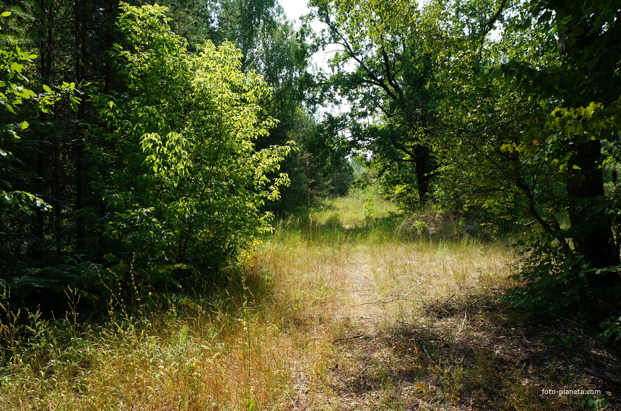 Территория бывших воинских частей