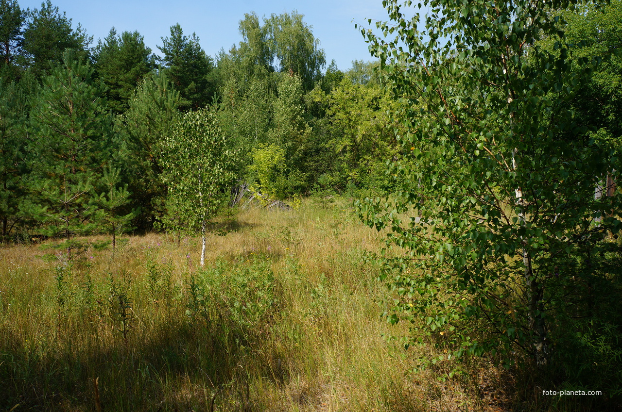 Территория бывших воинских частей