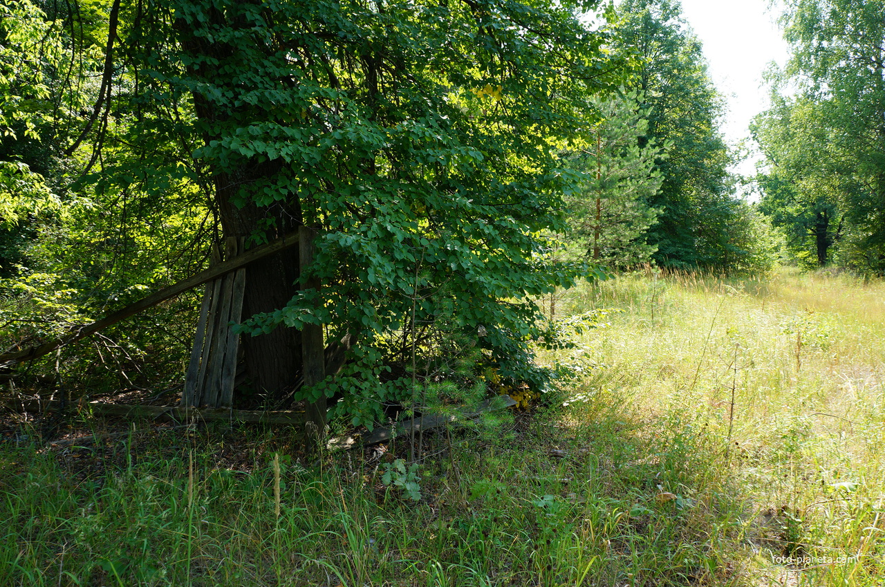 Территория бывших воинских частей
