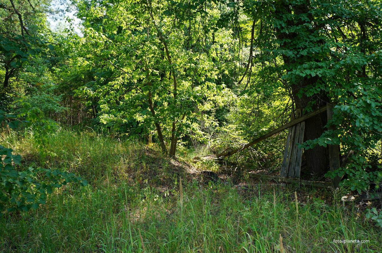 Территория бывших воинских частей