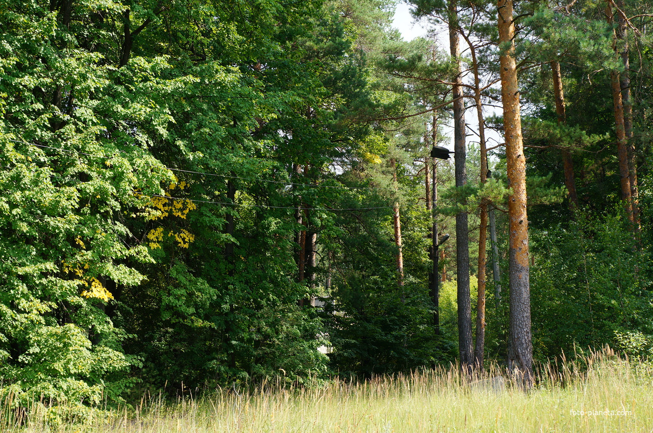 Территория бывших воинских частей