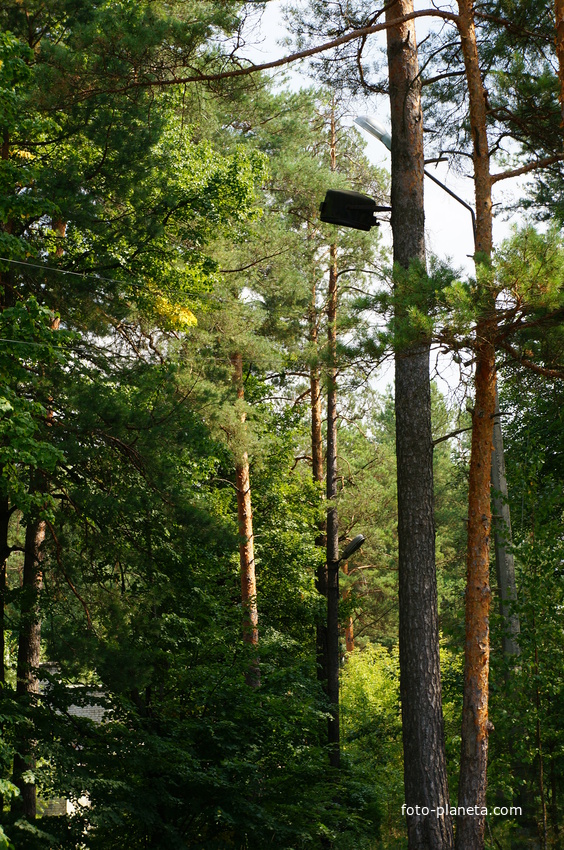 Территория бывших воинских частей