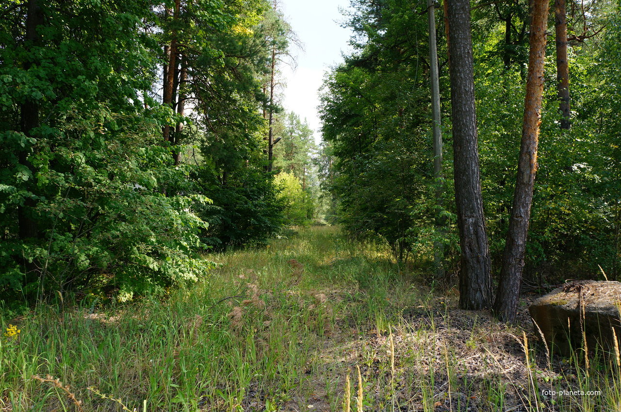 Территория бывших воинских частей