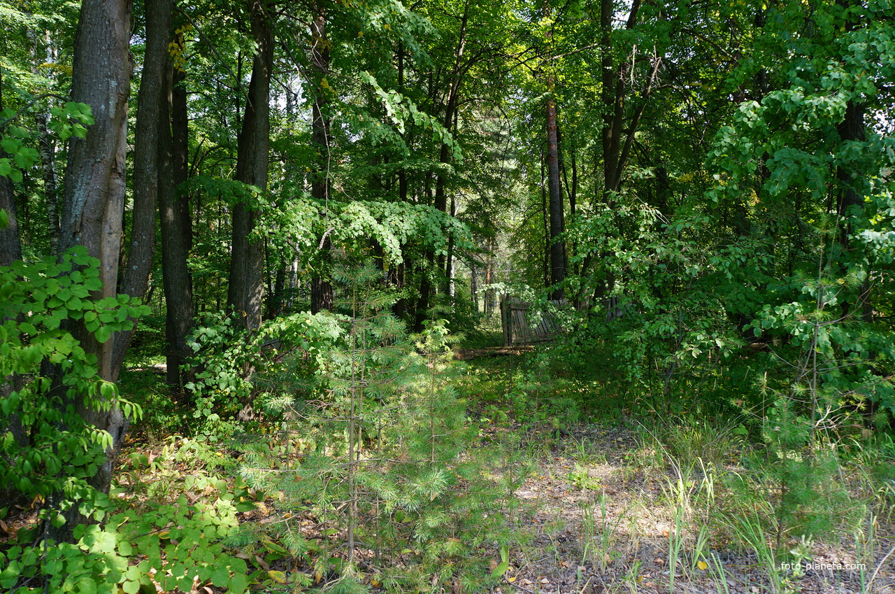 Территория бывших воинских частей