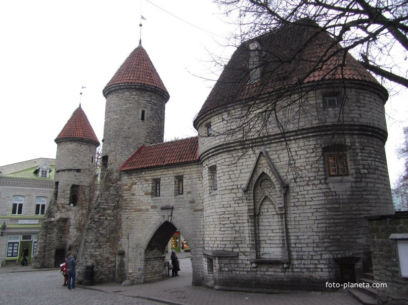Вируские ворота в Таллинне