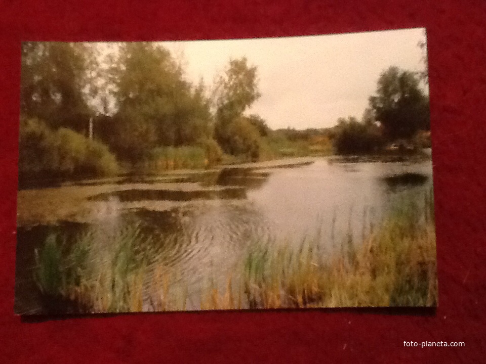 Пруд на везде в Василево