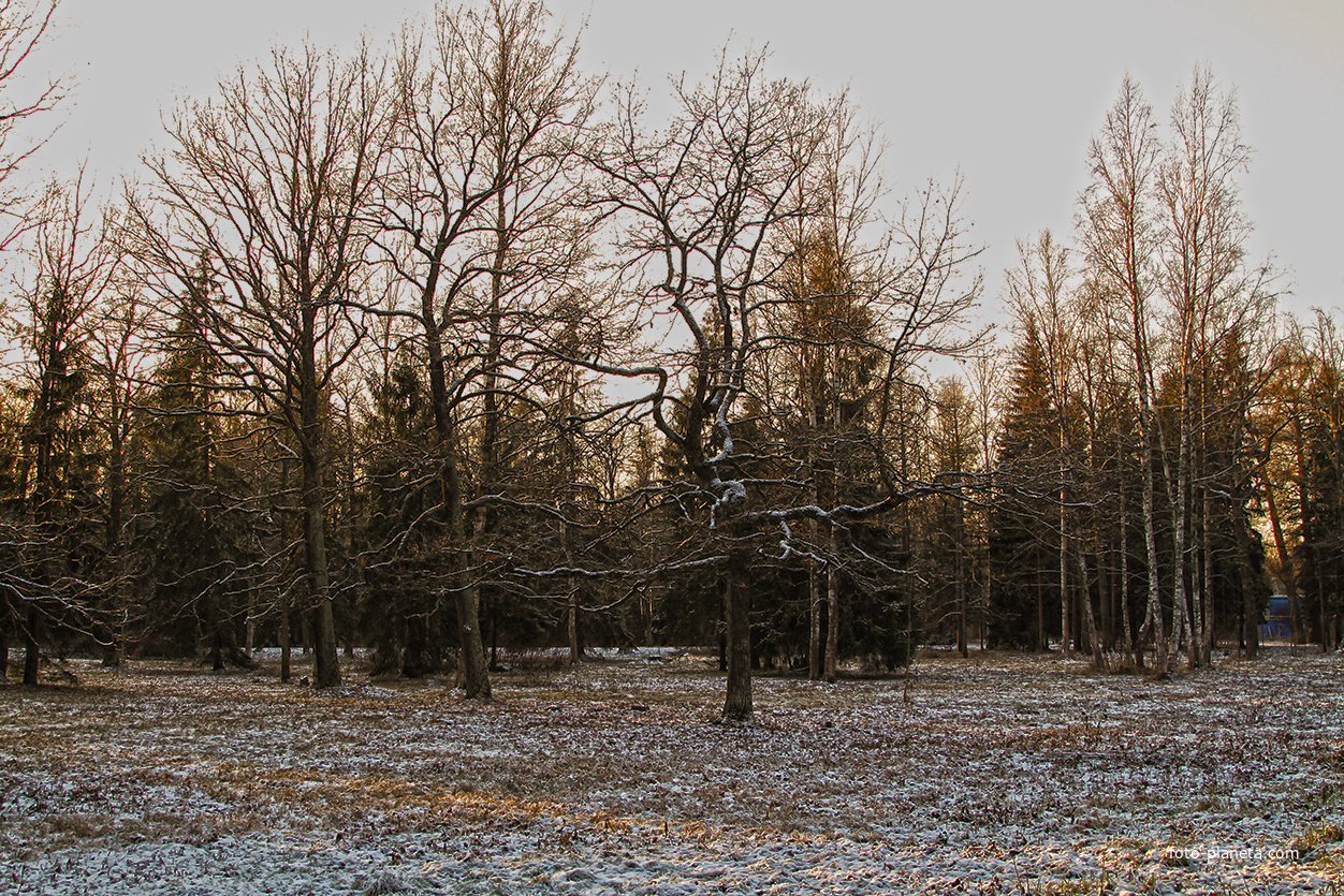 Александровский парк