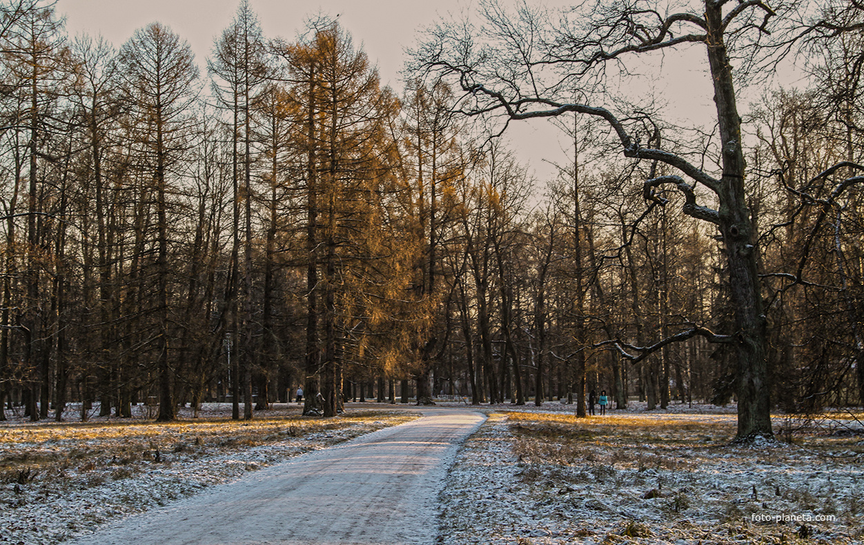 Александровский парк