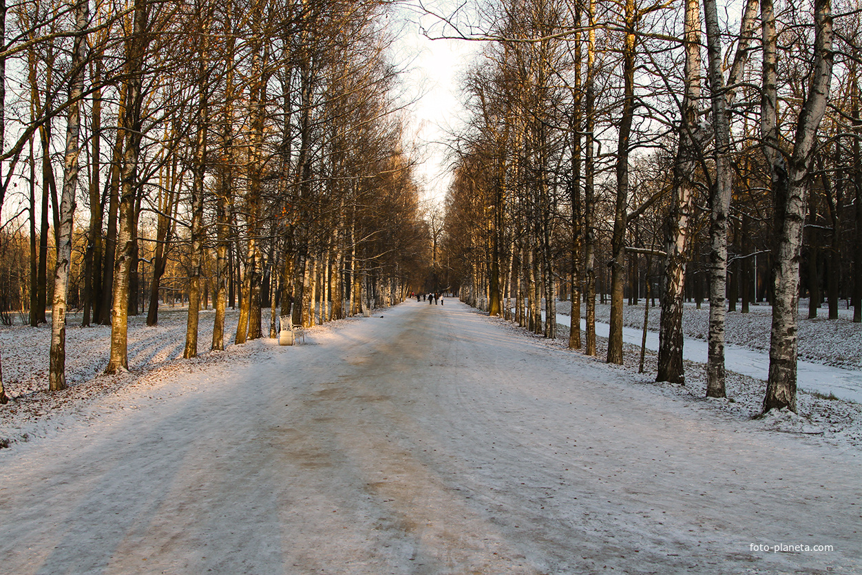 Александровский парк