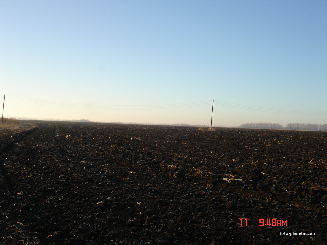 Алексеевка. Осень.  Слево видны посадки на Студёновку.