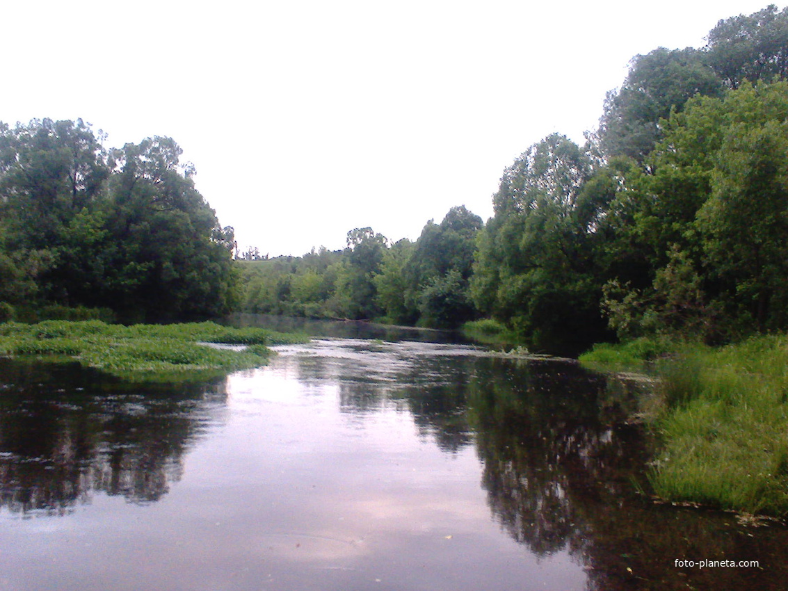 Река плава тульская область