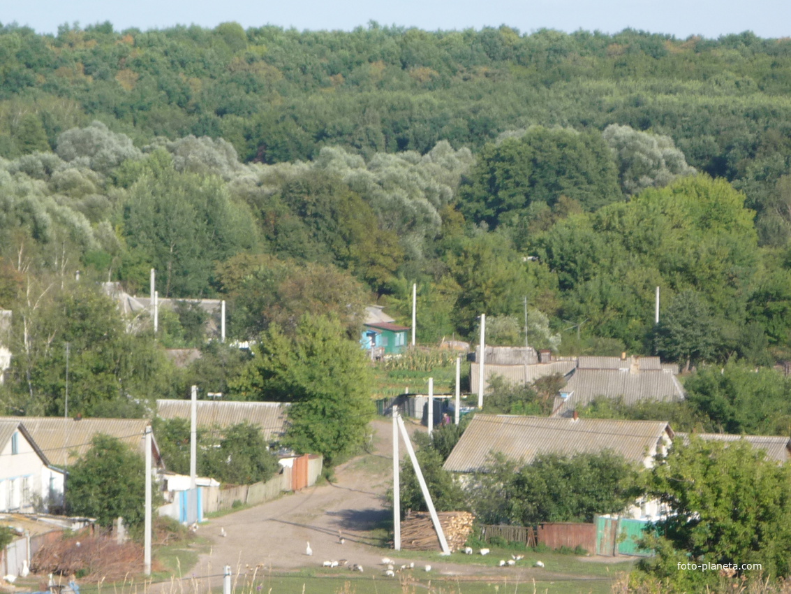 Бегунь Украина Фото