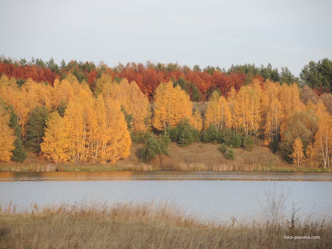Осенью 2014г. на Каргаловском водохранилище.