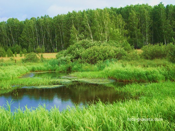 &quot;Старица&quot;