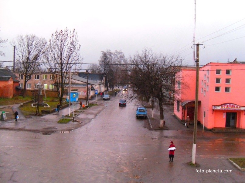 Погода в сольцах. Виват Сольцы. Кафе Сольцы. Сольцы рынок. Солецкий городской рынок.