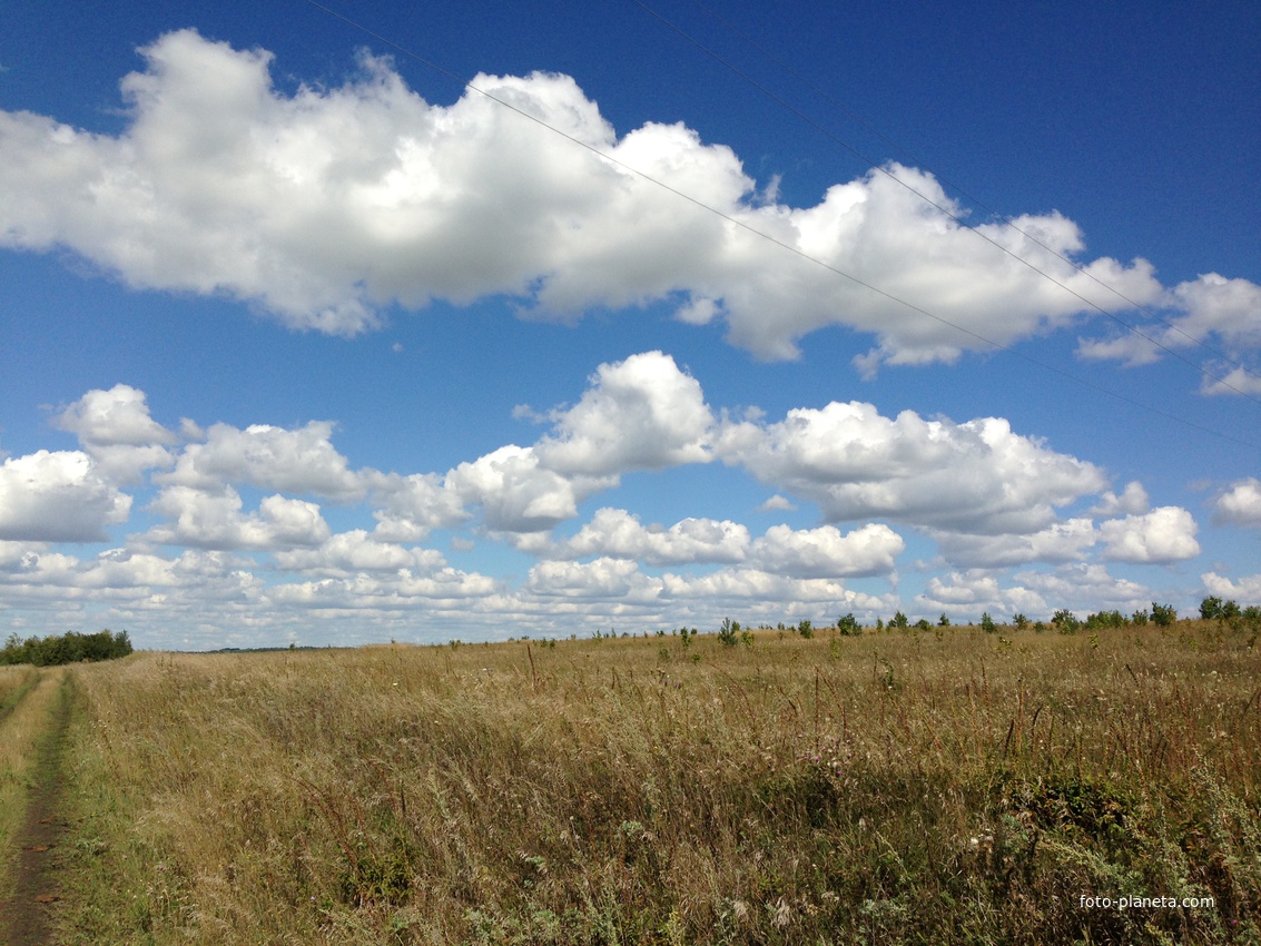 деревня Гавриловка