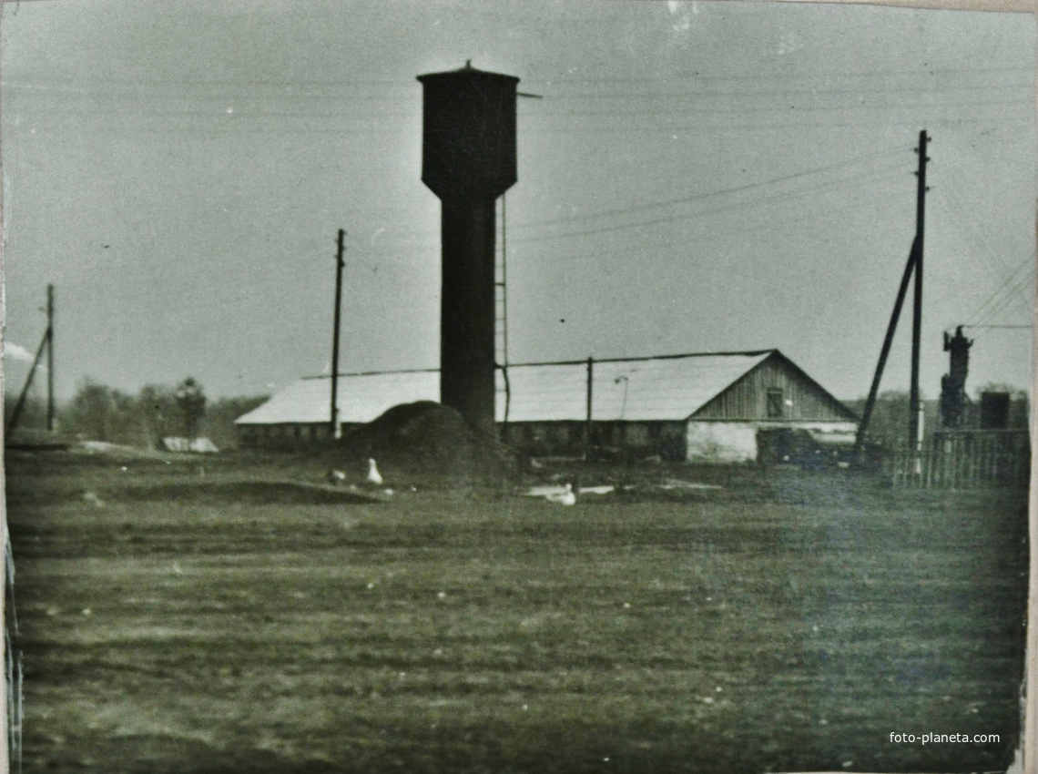 башня на д.Сидоровке