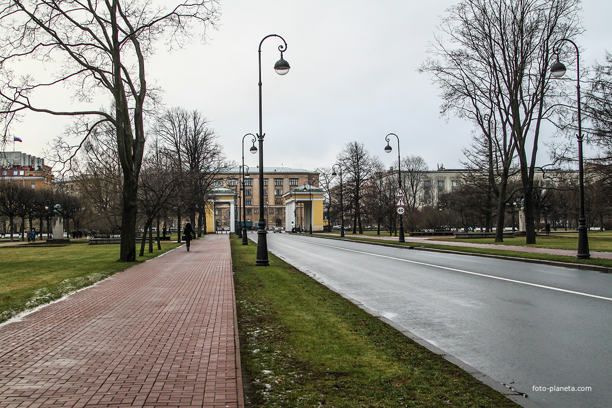 На территории Смольного