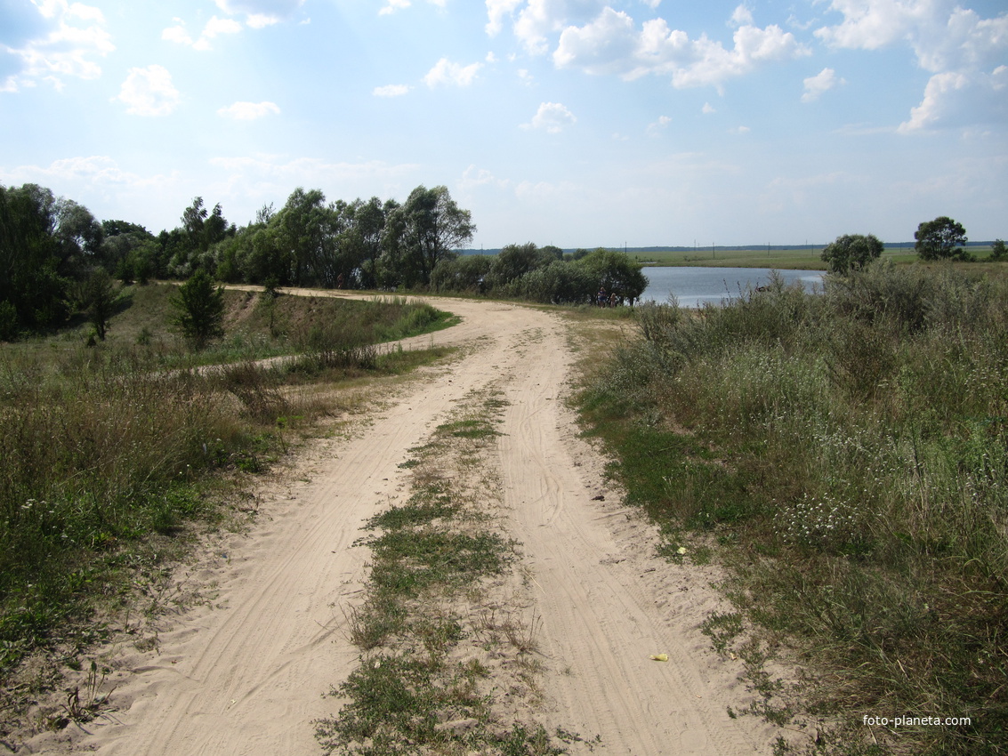 Дорога на ставок