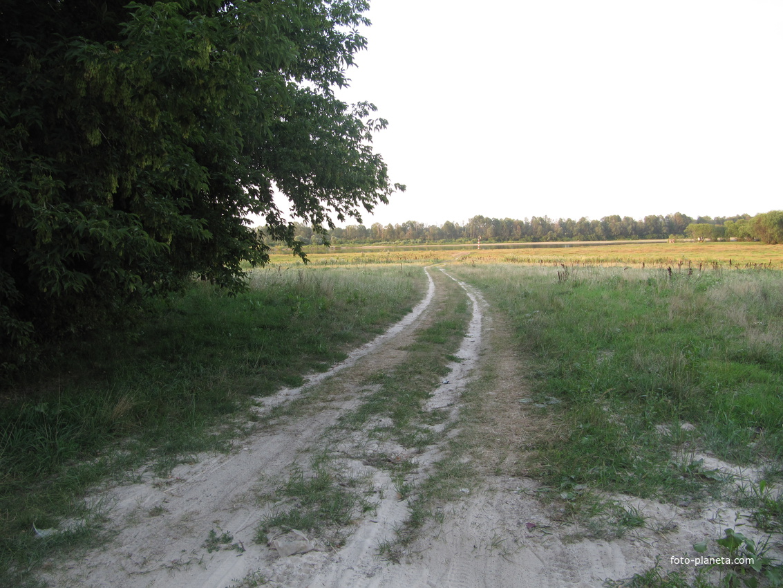 За сельмагом