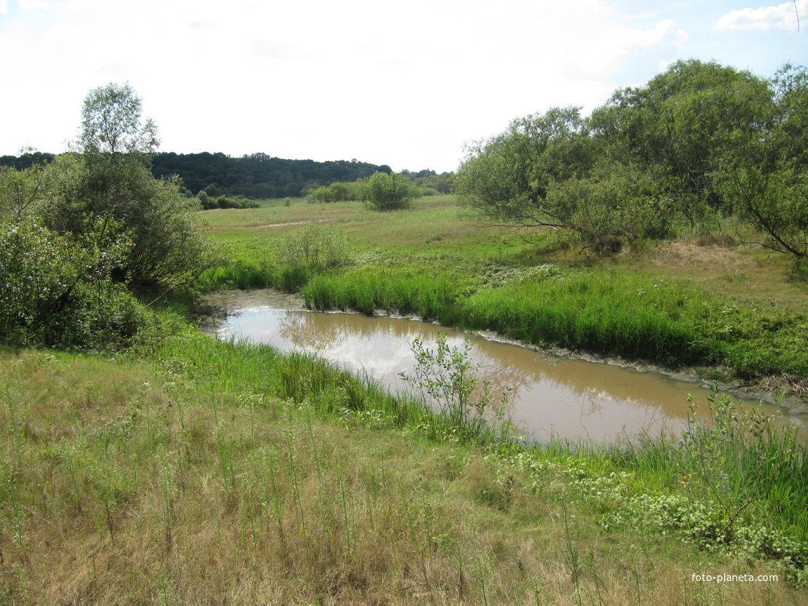 Луг.За сельмагом.