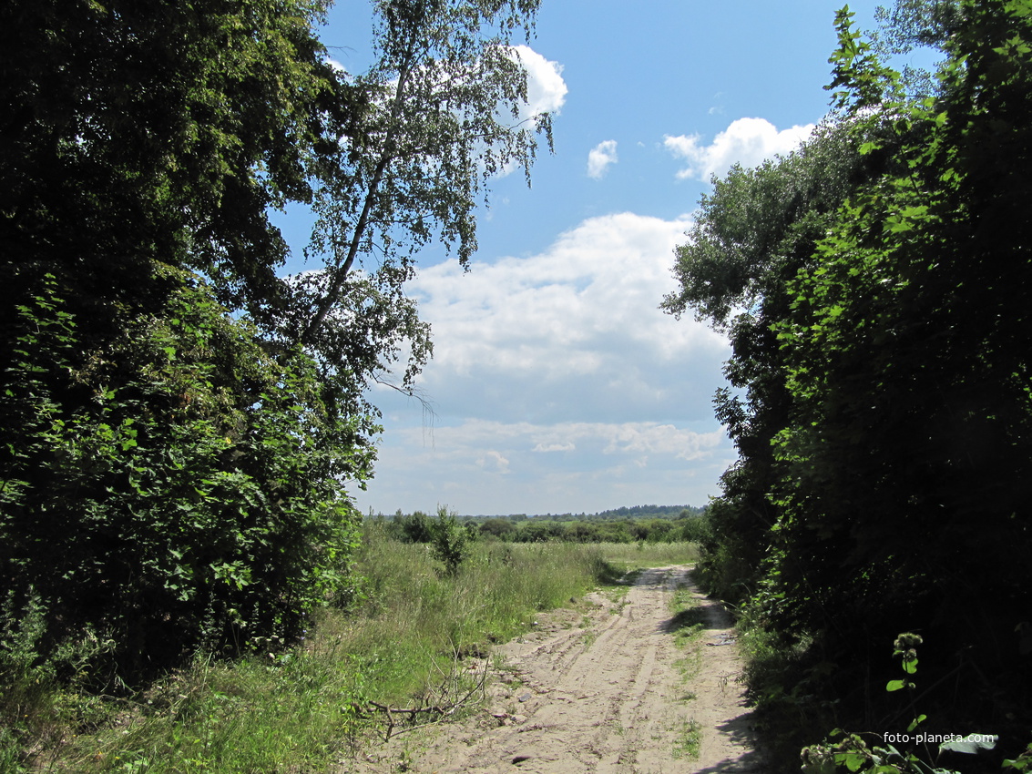 Дорога на луг.