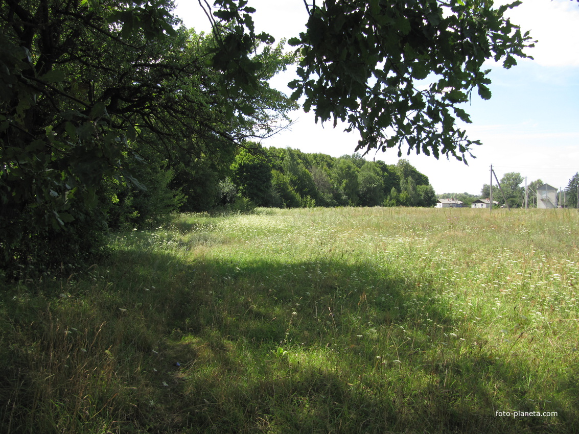 У стрельбища.