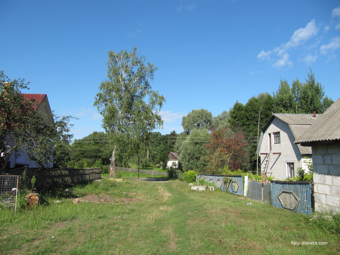 Возле кургана.