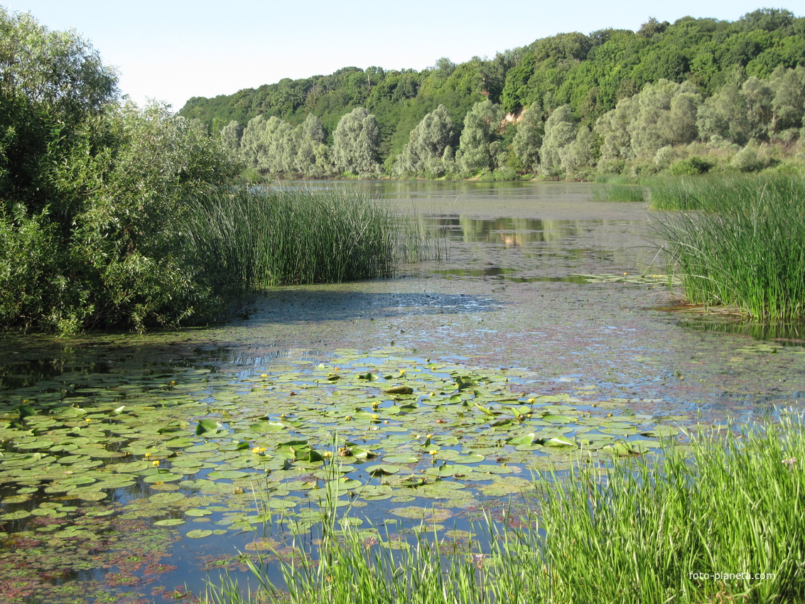 Вид на обрыв.
