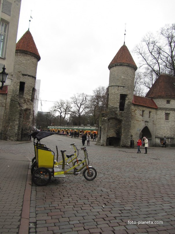 Вируские ворота