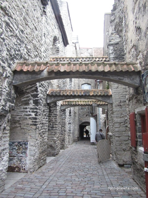 Переулок Катарины