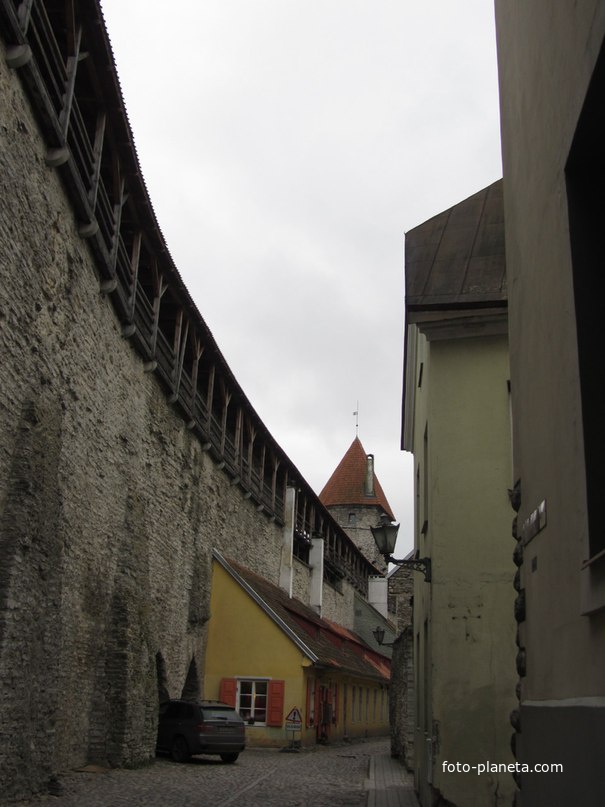 Переулок Катарины