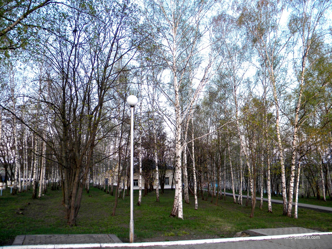 Облик села Васильдол