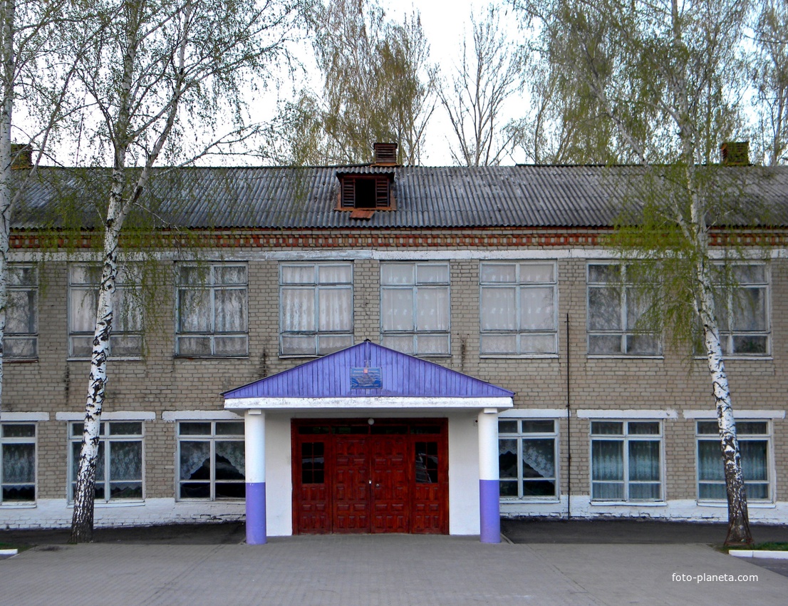 Школа села Васильдол