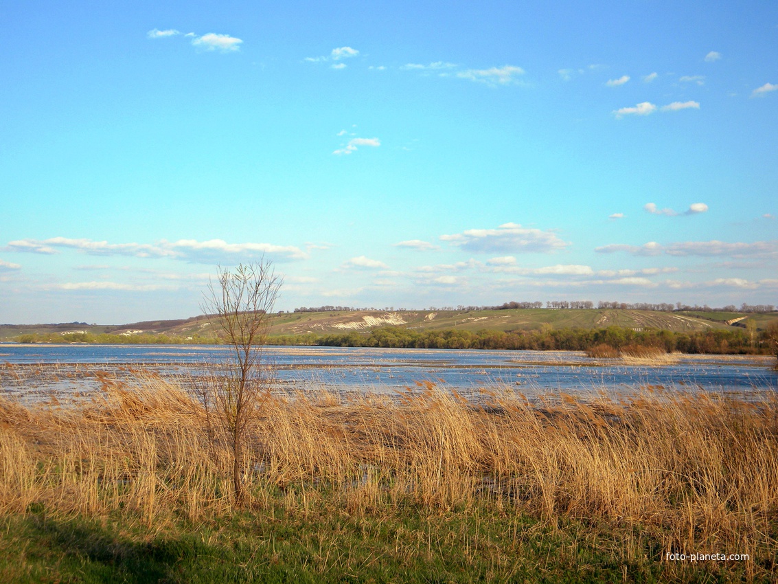 Природа села Великомихайловка