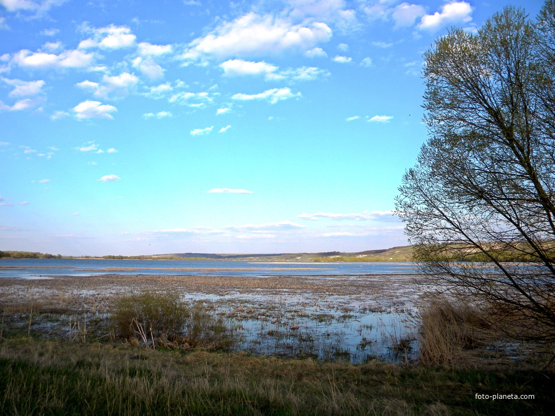 Природа села Великомихайловка