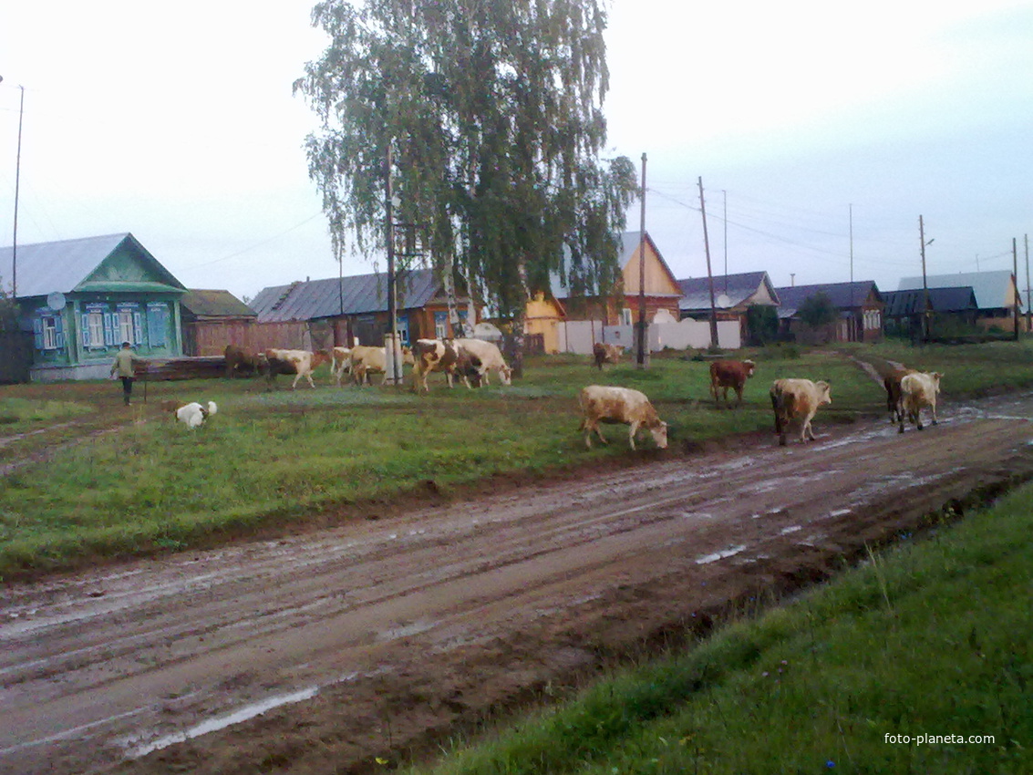 село Березовка.