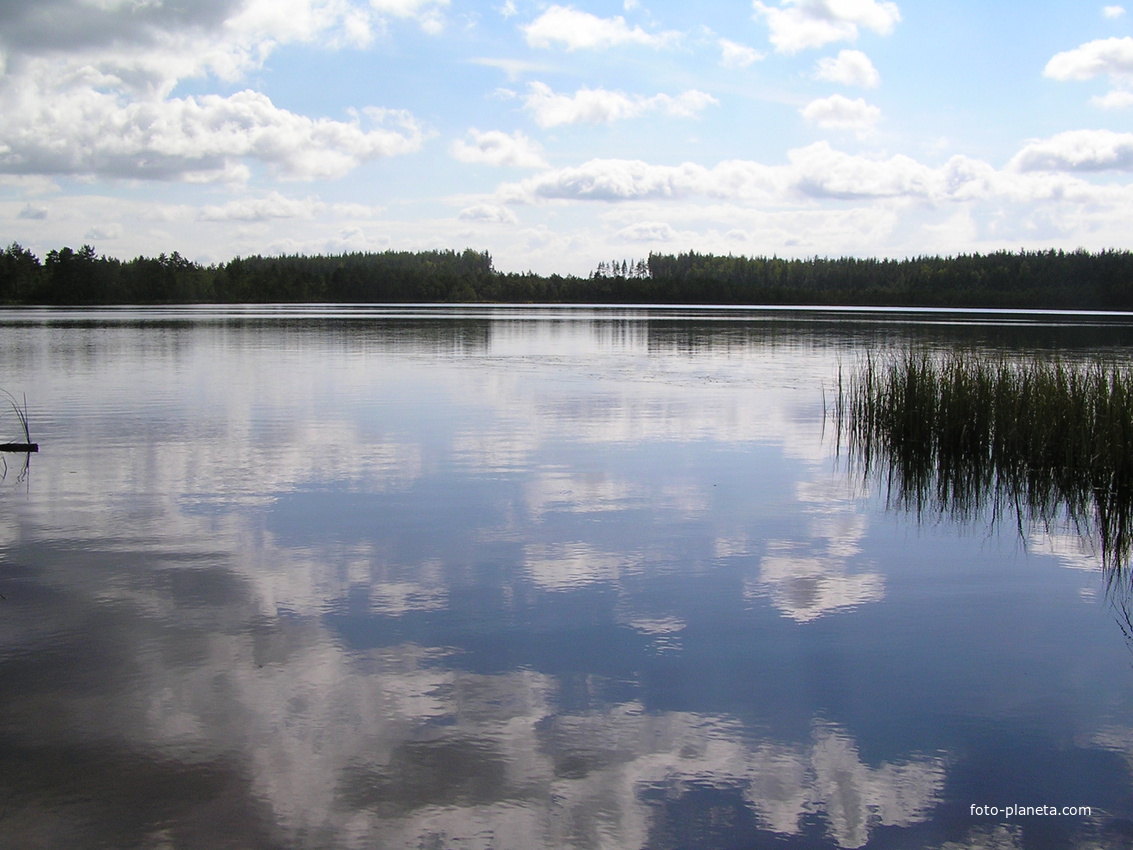 озеро Боруй - 0,5 км от д. Озеревичи