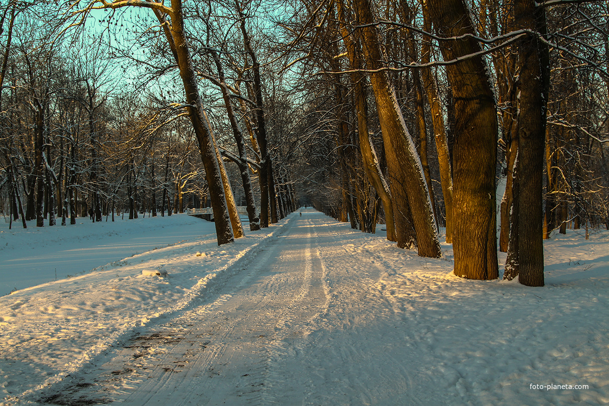 Аллея в парке