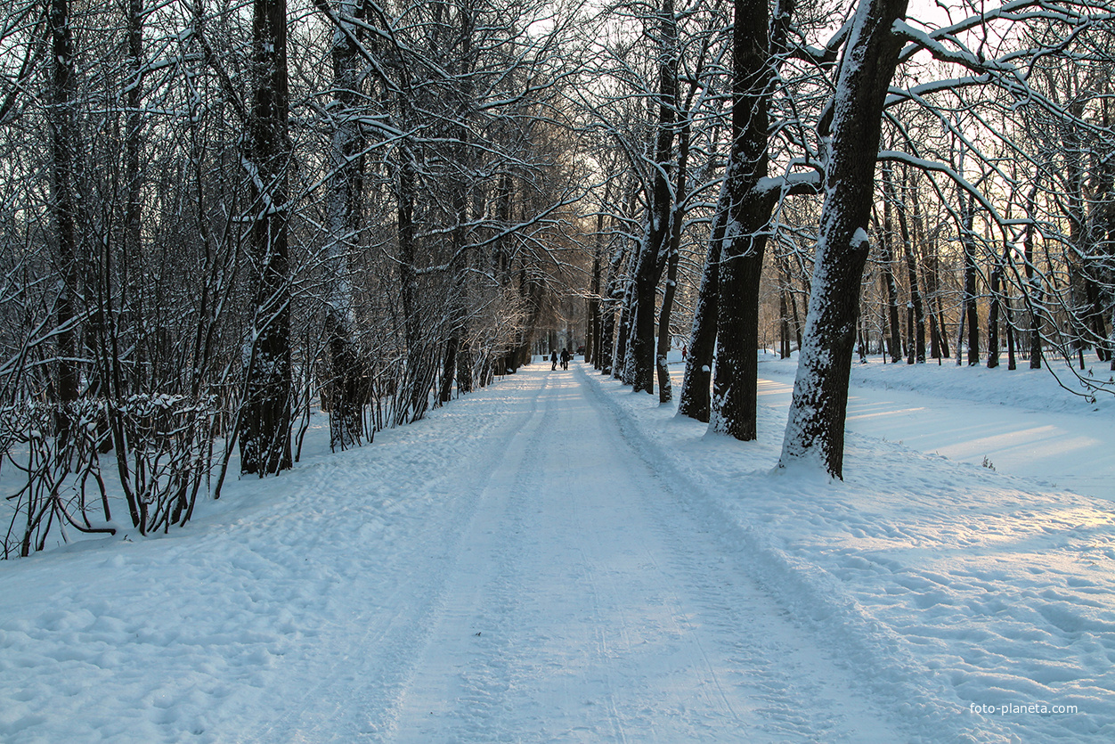 Дорожка в парке